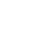 Valiant Logo V